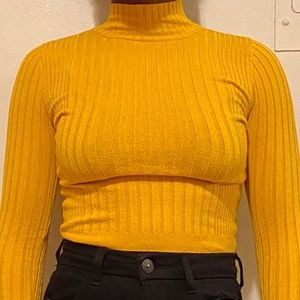 Cropped Turtle Neck